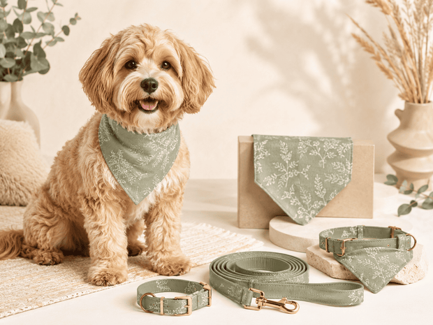 Dog wearing a sage green bandana with pet collars and leashes for the MigoPaw pet accessories collection