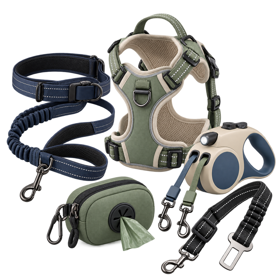 Pet Accessories