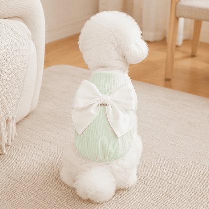 Small dog wearing a green bow detail pet dress in a cozy home setting