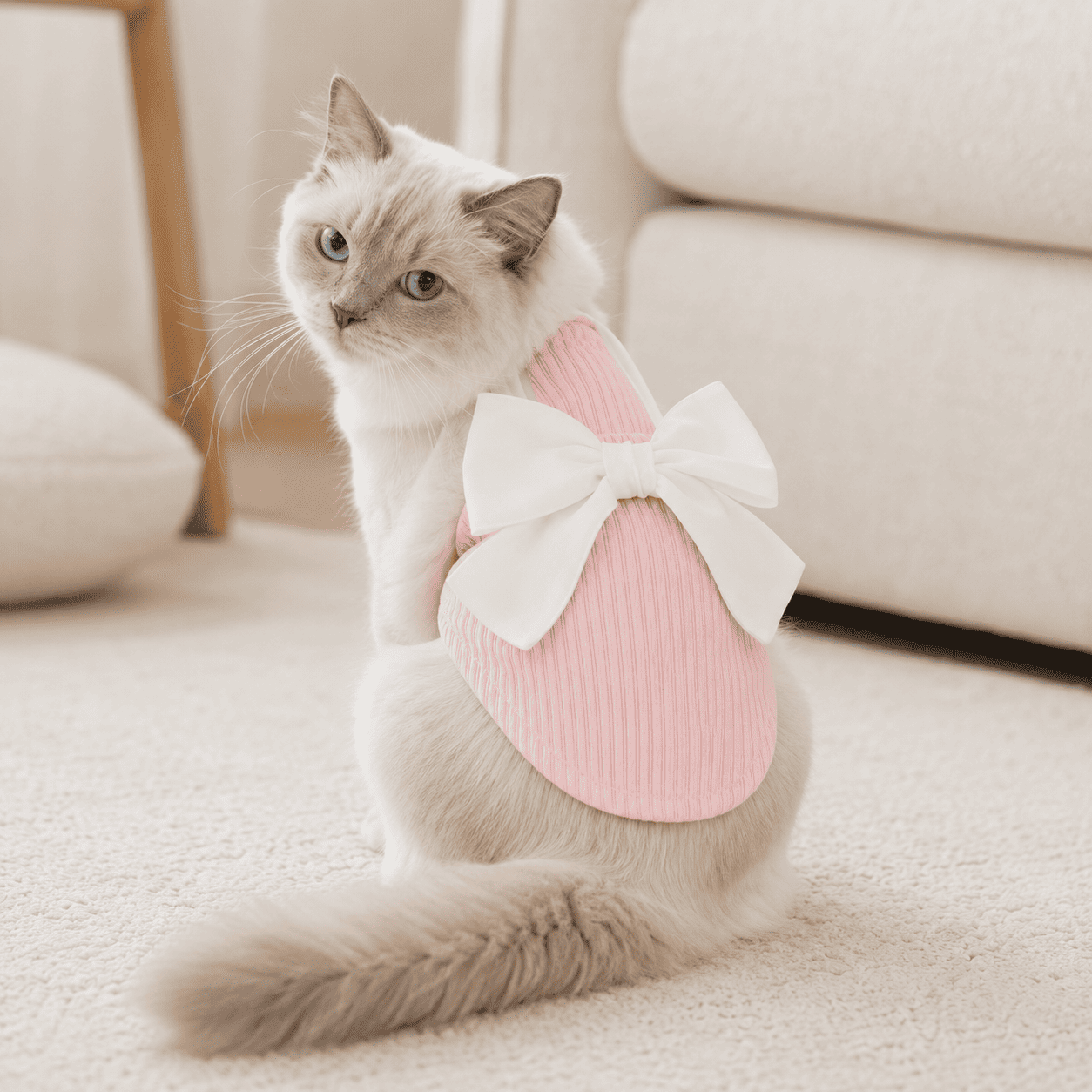 Cat wearing a pink bow detail pet dress in a cozy home setting