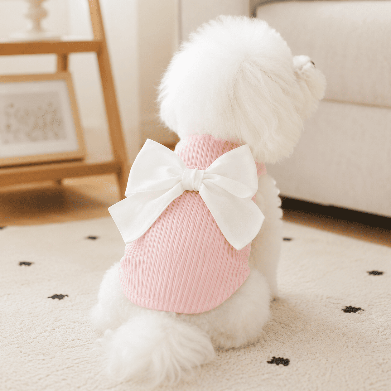 Small dog wearing a pink bow detail pet dress in a cozy home setting