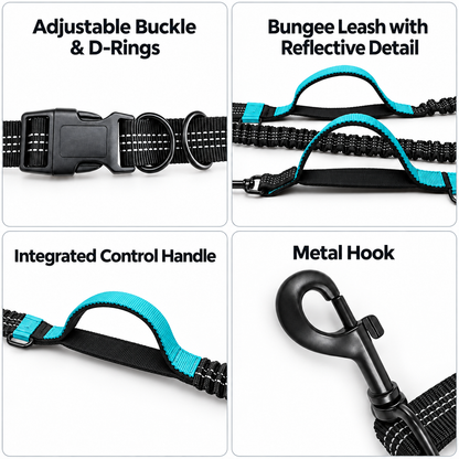 Hands-free dog leash details showing adjustable buckle, control handles, reflective bungee section and hook