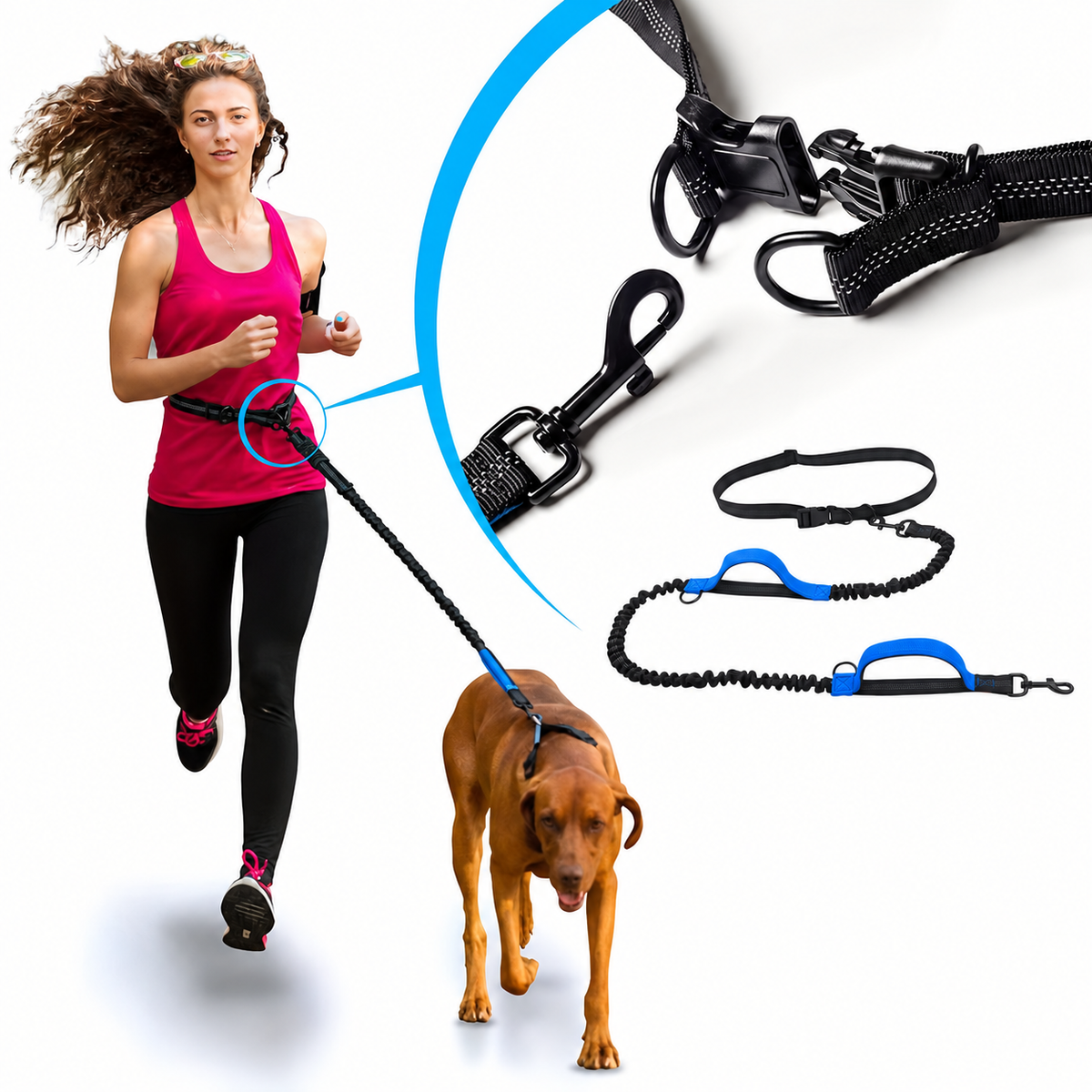 Woman jogging with a dog using a hands-free bungee running leash attached at the waist