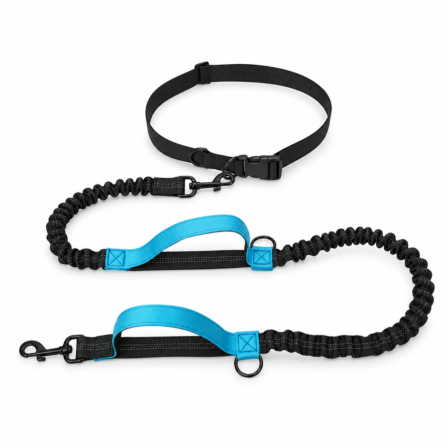 Blue hands-free reflective dog running leash with adjustable waist belt and dual bungee sections