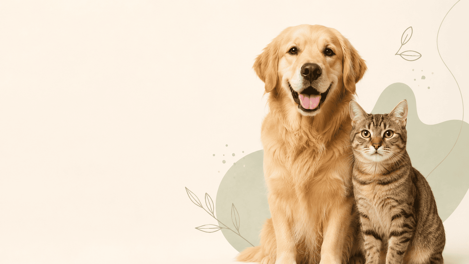 migopaw-home-hero-dog-cat-cozy-pet-store-banner