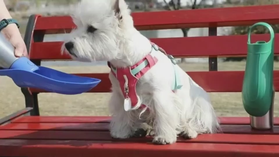 Dog drinking from a portable pet travel water bottle during an outdoor walk