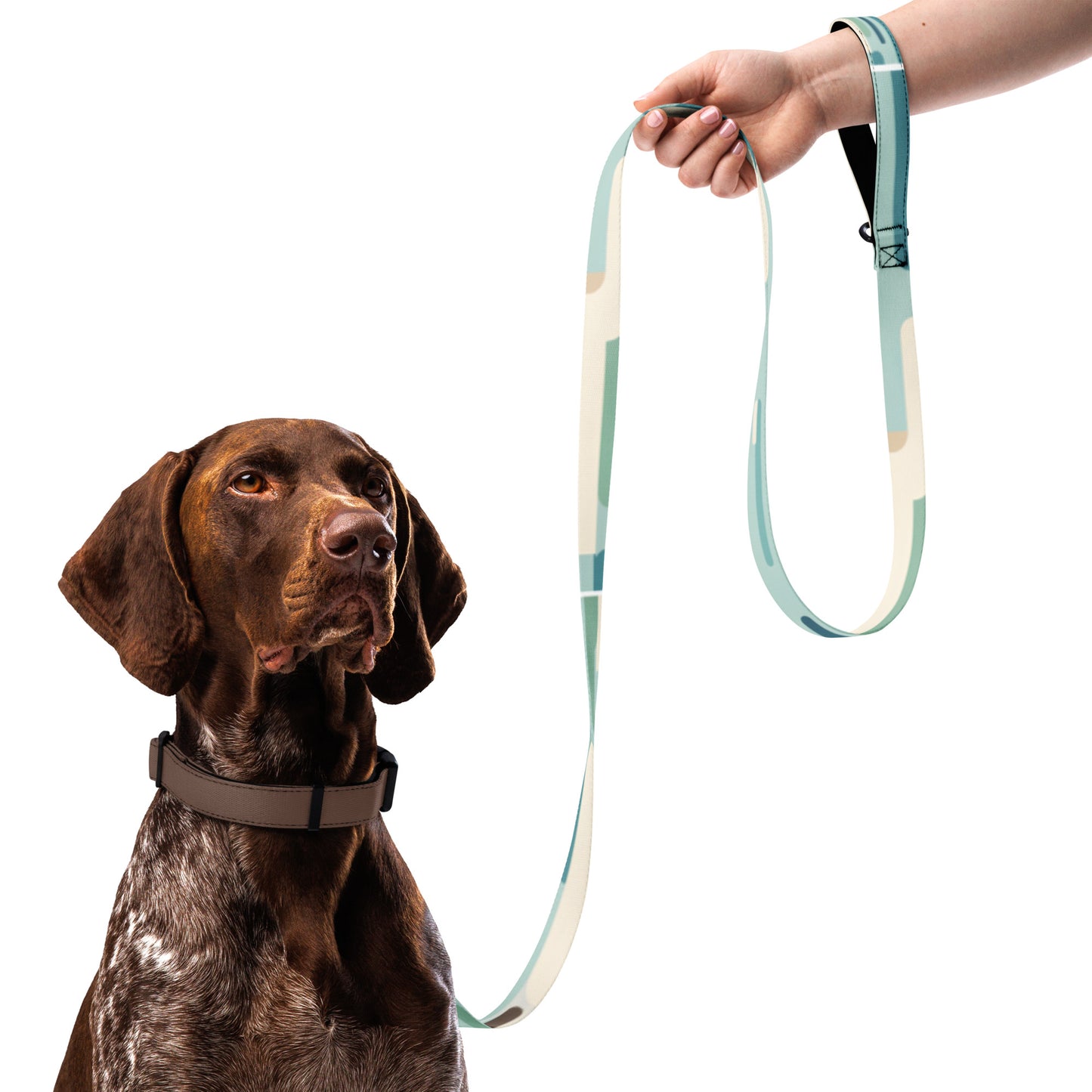 Dog shown with the Seafoam Trail 6 ft Pet Leash in a clean product mockup.