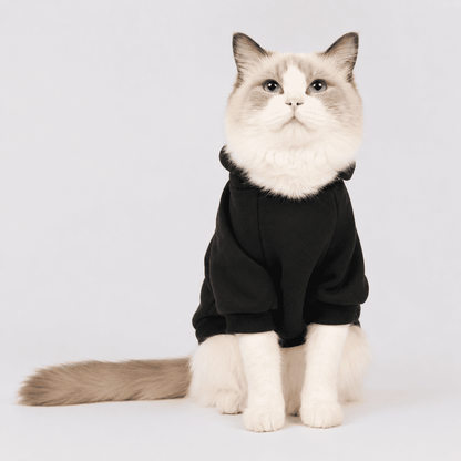 Fluffy cat wearing a black soft fleece pet hoodie