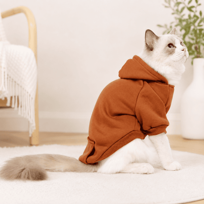 Fluffy cat wearing a brown soft fleece pet hoodie