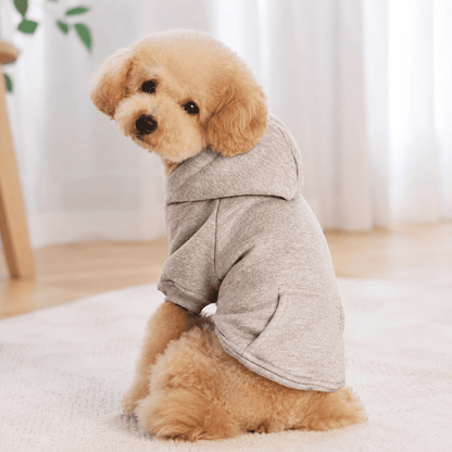 Small dog wearing a grey soft fleece pet hoodie indoors