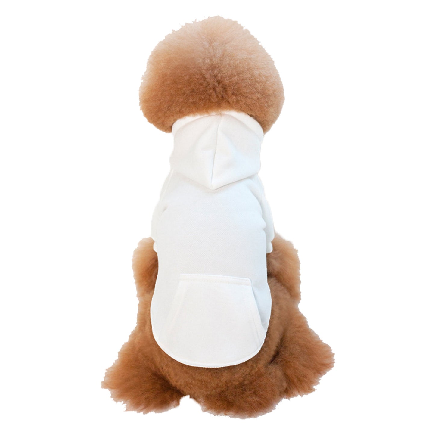 Small pet wearing a white soft fleece pet hoodie shown from the back