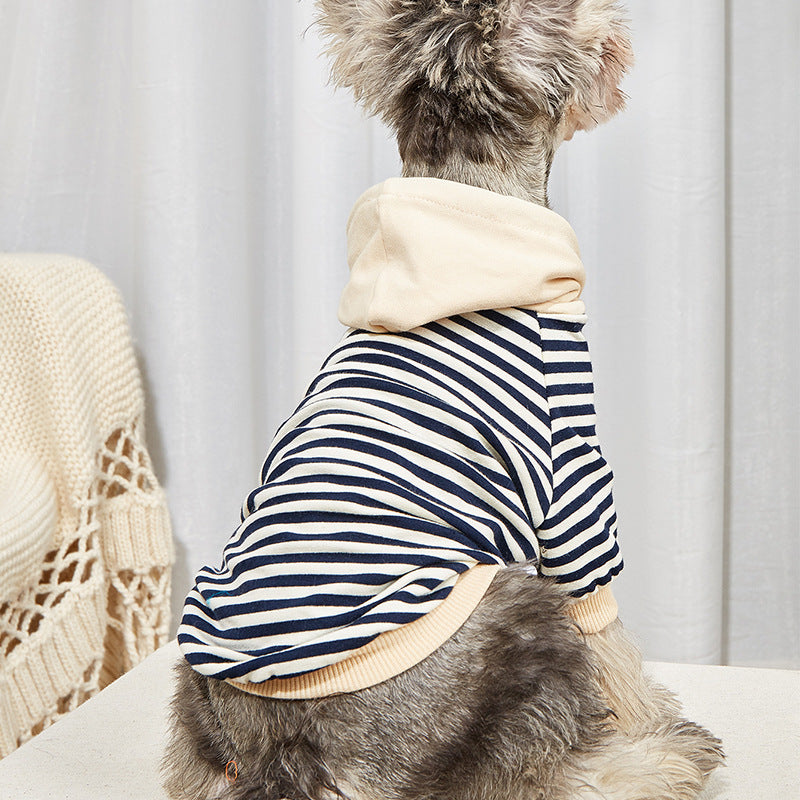 Side view of a small dog wearing the Striped Knit Pet Hoodie indoors.