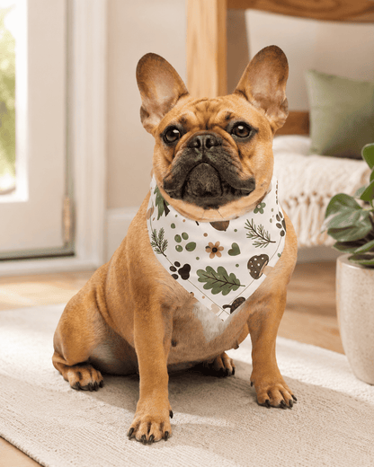 Small dog wearing the Woodland Trail Dog & Cat Pet Bandana in a cozy home setting